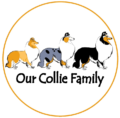 OUR COLLIE FAMILY